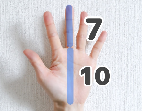 一般的な手のひらと指の長さの比率
