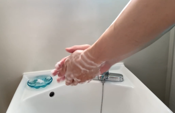 両手を石鹸でよく洗う